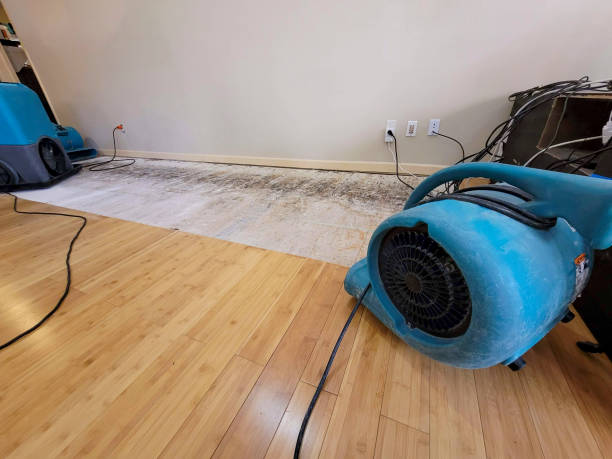 Professional Flood Damage Cleanup technician working in East Bank, WV